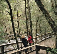 Franklin River Nature Trail - Tourism Search