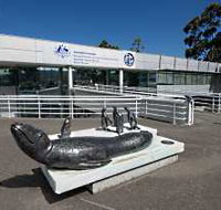 Australia's Antarctic Headquarters - Tourism Search