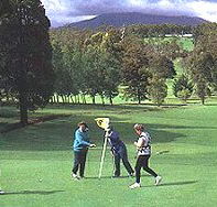 Deloraine Golf Course - Tourism Search