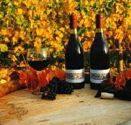 Craigow Vineyard - Tourism Search