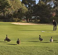 Royal Hobart Golf Club - Tourism Search