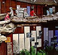 West Coast Visitor Information and Booking Centre - Tourism Search