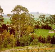 The Tasmanian Arboretum - Tourism Search