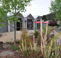 Tin Dragon Interpretation Centre and Cafe - Tourism Search