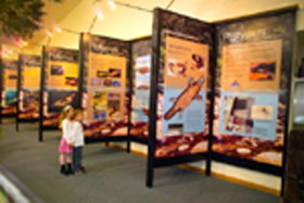 Platypus Experience - Tourism Search 0