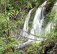 Hogarth Falls - Tourism Search