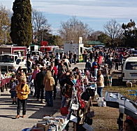 Evandale Market - Tourism Search