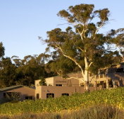 Domaine A / Stoney Vineyard - Tourism Search