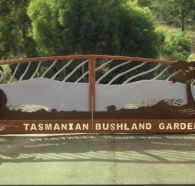 Tasmanian Bushland Garden - Tourism Search