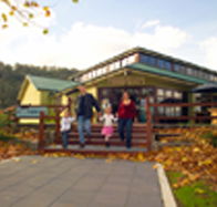 Australian Axeman's Hall of Fame - Tourism Search