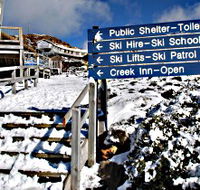 Ben Lomond National Park - Tourism Search
