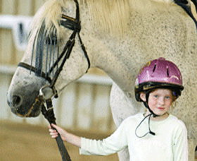 Springrange ACT Tourism Search