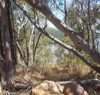 Black Mountain - Tourism Search