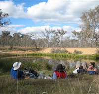Canberra Nature Park - Tourism Search
