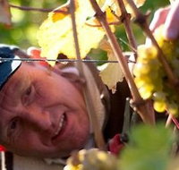 Puddleduck Vineyard - Tourism Search