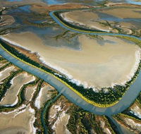 The Wilderness Gallery - Tourism Search