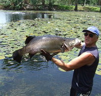 Barra Feeding - Tourism Search