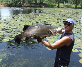 Barra Feeding - Tourism Search 0