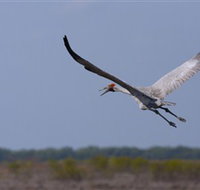 Gayngaru Wetlands Interpretive Walk - Tourism Search