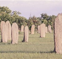 Magnetic Termite Mounds - Tourism Search