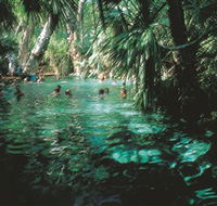 Mataranka Thermal Pool - Tourism Search