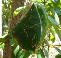 Greenant Creek Walk - Tourism Search