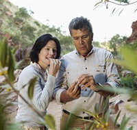 Simpsons Gap - Tourism Search