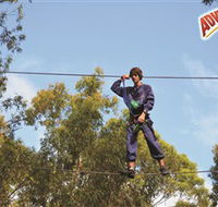 Adventure Parc at Currumbin Wildlife Sanctuary - Tourism Search