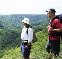 Sunshine Coast Hinterland Great Walk - Tourism Search