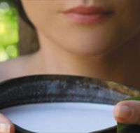 Ikatan Day Spa - Tourism Search