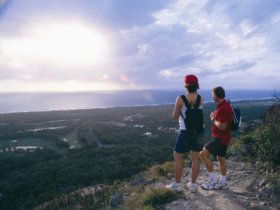 Mount Coolum QLD Tourism Search