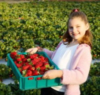 Strawberry Fields - Tourism Search