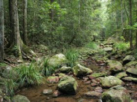 Amamoor QLD Tourism Search