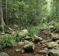 Amamoor State Forest - Tourism Search