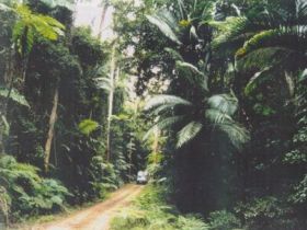 Conondale Great Walk - Tourism Search 0