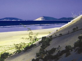 Cooloola, Great Sandy National Park - Tourism Search 0