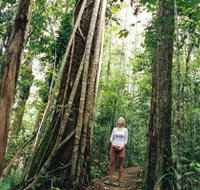 Wet Tropics - Tourism Search