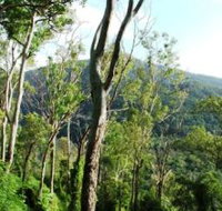 Smiths Track Barron Gorge National Park - Tourism Search