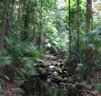 Mossman Gorge Rainforest Circuit Track Daintree National Park - Tourism Search
