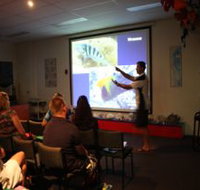 Reef Teach - Tourism Search