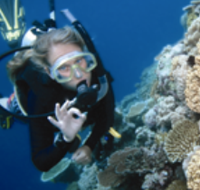 Moore Reef Dive Site - Tourism Search