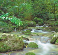 Mossman Gorge Daintree National Park - Tourism Search
