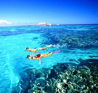 Northern Great Barrier Reef - Tourism Search