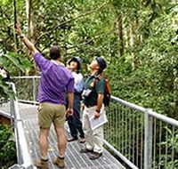 Daintree Discovery Centre - Tourism Search