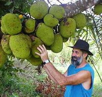 Cape Trib Exotic Fruit Farm - Tourism Search