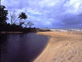 Russell River National Park - Tourism Search 0