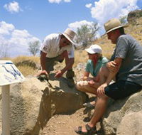 Riversleigh Fossil Fields - Tourism Search