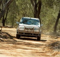 Ward River 4x4 Stock Route Trail - Tourism Search