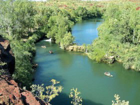 Wild Dog Dreaming, Boodjamulla (Lawn Hill) National Park - Tourism Search 0