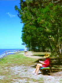 Woodgate QLD Tourism Search